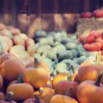 Pumpkin spice up your brand: an intro to seasonal marketing campaigns